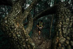 BIB: 
                            <button type="button" onclick="openModal(25692384)" class="btn btn-primary btn-sm float-right btn-popup" data-toggle="modal" data-target=".modal-high-quality">
                        <i class="fas fa-shopping-cart"></i> Add to Cart
                    </button>
                                            <button type="button" onclick="isThisMe(25692384, true)" class="btn btn-success btn-sm float-right btn-popup btn-isme hidden" data-toggle="tooltip" data-placement="bottom" title="นี่คือรูปของคุณใช่ไหม คลิกที่นี่เพื่อเอาเข้าอัลบั้ม">
                        <i class="fas fa-plus"></i> Add to album
                    </button>
                    <button type="button" onclick="isThisMe(25692384, false)" class="btn btn-warning btn-sm float-right btn-popup btn-isnotme hidden">
                        <i class="fas fa-ban"></i> Remove from album
                    </button>